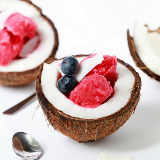 Raspberry Coconut Sorbet