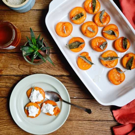 Roasted Apricots + Sage + Honey