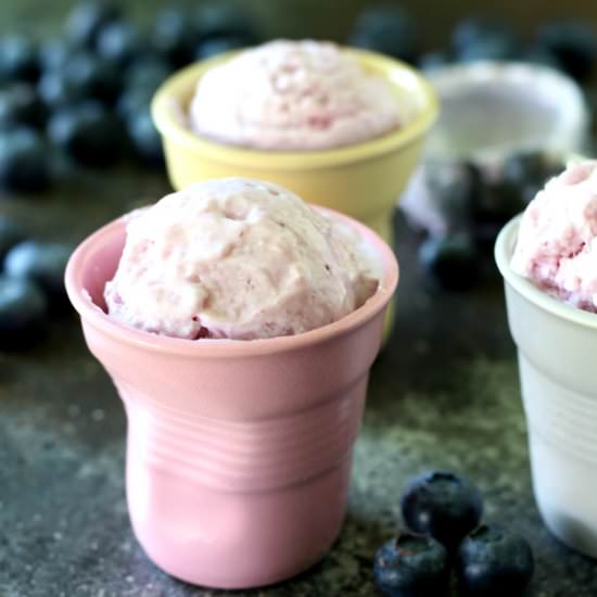Greek Yogurt Blueberry Ice Cream
