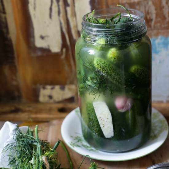 Slightly Fermented Cucumbers