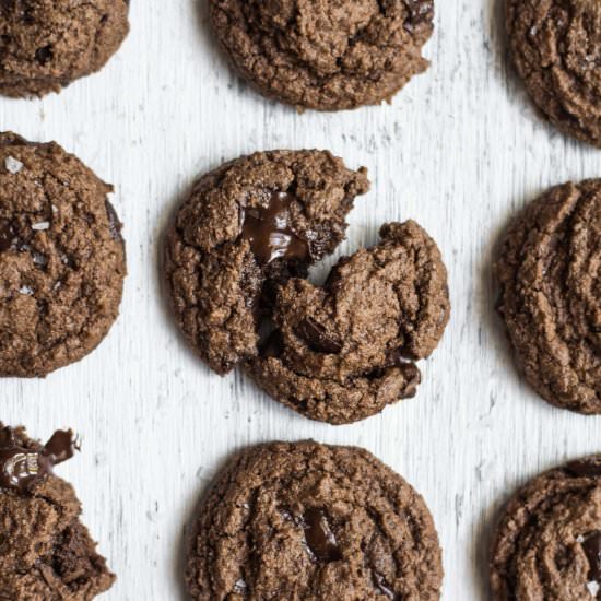 Double Chocolate Chip Cookies
