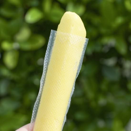 2-Ingredient Mango Popsicles