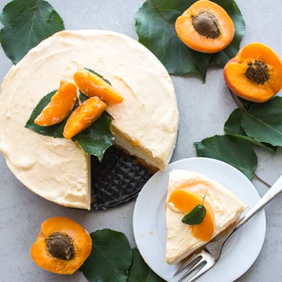 Apricot Double Layer Cream Dessert