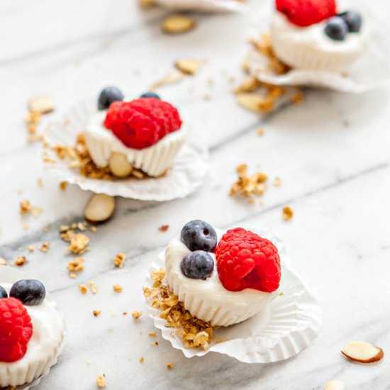 Red, White, and Blue Yogurt Bites