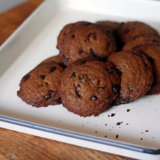 Chocolate Chip Biscuits