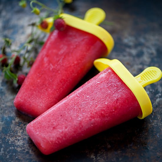 raw vegan sugar free ice cream