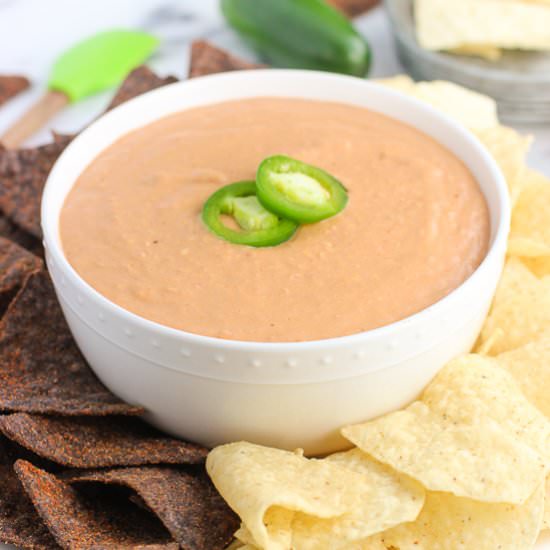 Jalapeno Salsa Bean Dip