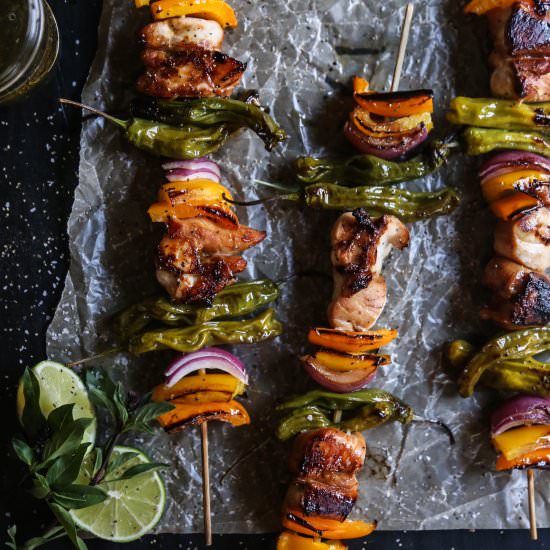 Teriyaki Chicken and Shishto Skewer