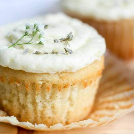 Lavender Vanilla Cupcakes