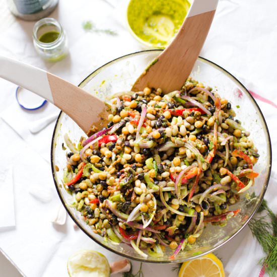 Mixed Bean Salad with Cilantro Lime