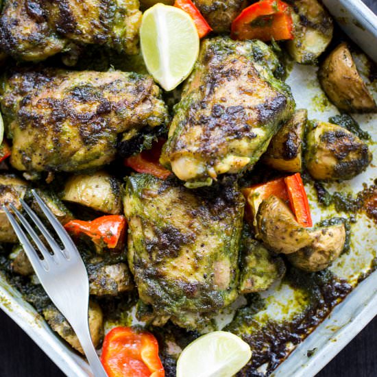Roasted Cilantro Chili Chicken