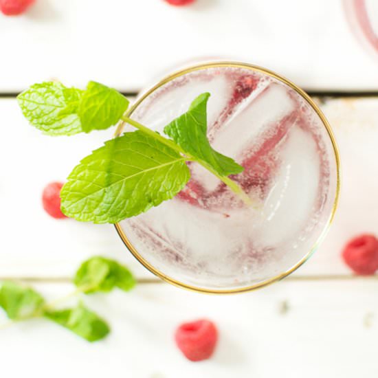 Raspberry Mojito Gin Fizz