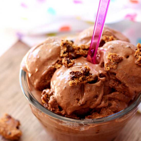 Chocolate Chip Frozen Yogurt