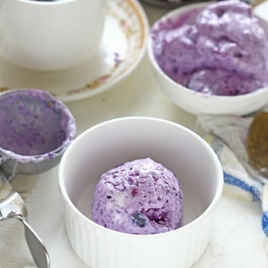 Jamun Frozen Yogurt