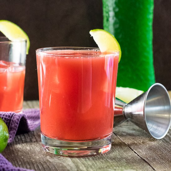 Watermelon Citrus Cocktail