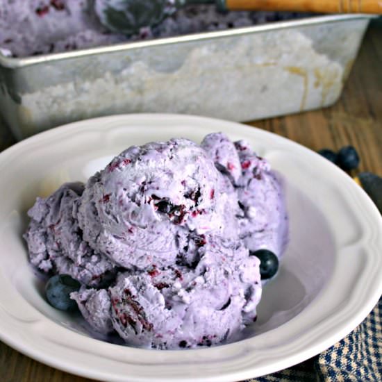 No Churn Blueberry Ice Cream
