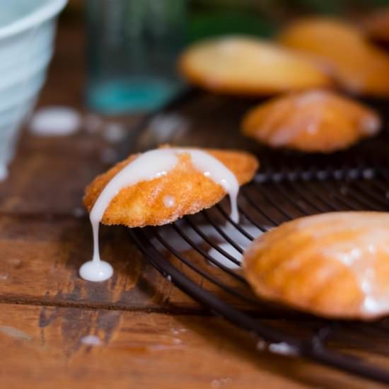 Elderflower Madeleines