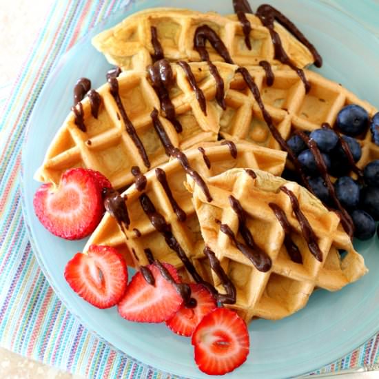 Low Carb Protein Waffles
