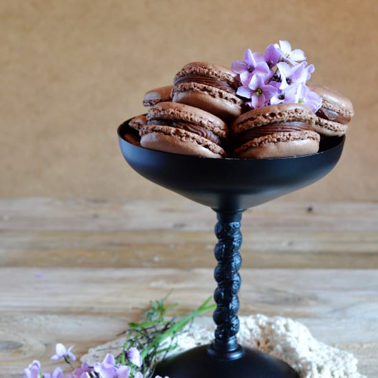 Chocolate Macarons