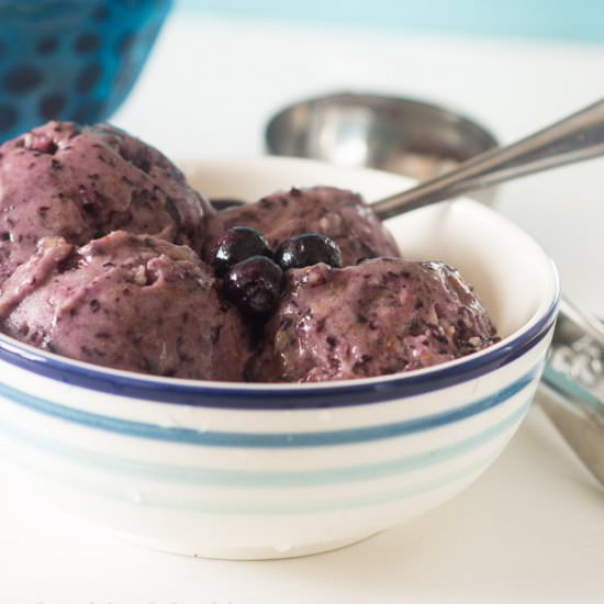 Fresh Blueberry Ice Cream
