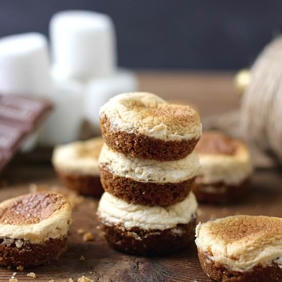Yummy S’mores Bites
