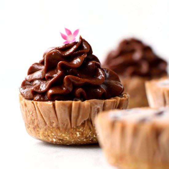 Double Chocolate Ice Cream Cupcakes