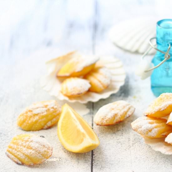 Lemon Madeleines