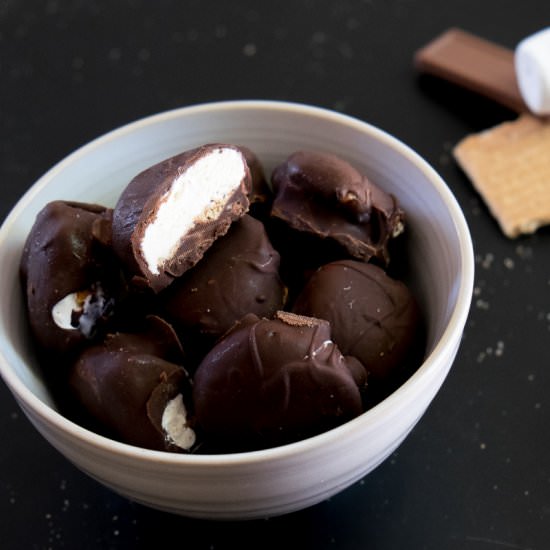 S’mores Ice Cream Bonbons