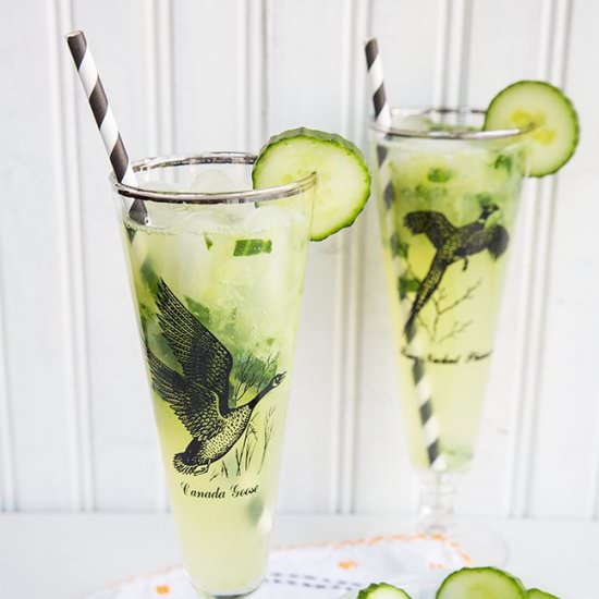 Cucumber Mint Gin Fizz