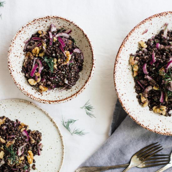 Simple French Inspired Lentil Salad