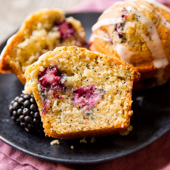 Blackberry Lemon Poppy Seed Muffins