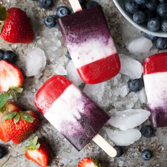 Fresh Fruit Popsicles