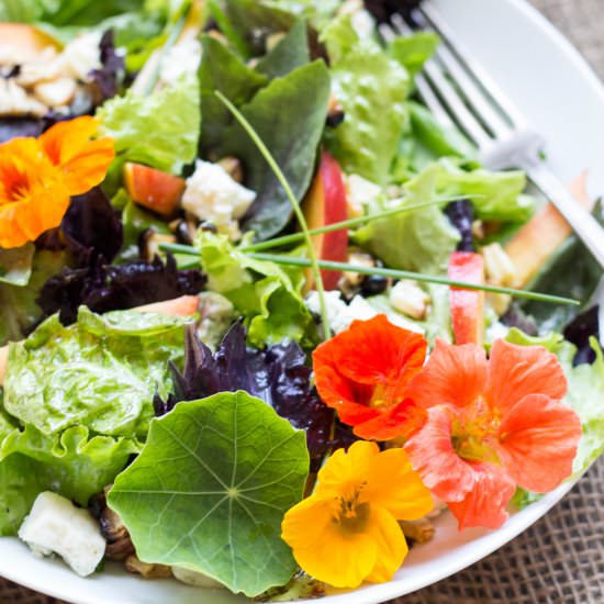 Nectarine + Grilled Corn Salad