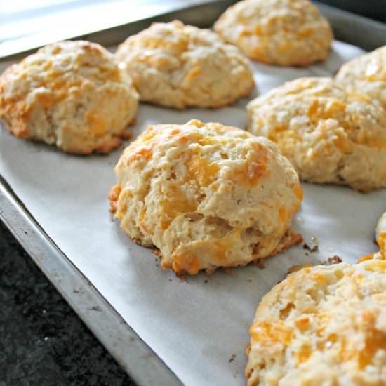 Beer and Cheese Biscuits