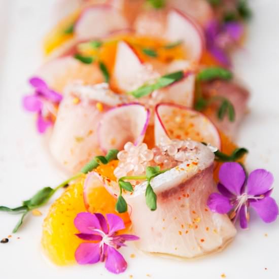 Hamachi Yellowtail Crudo