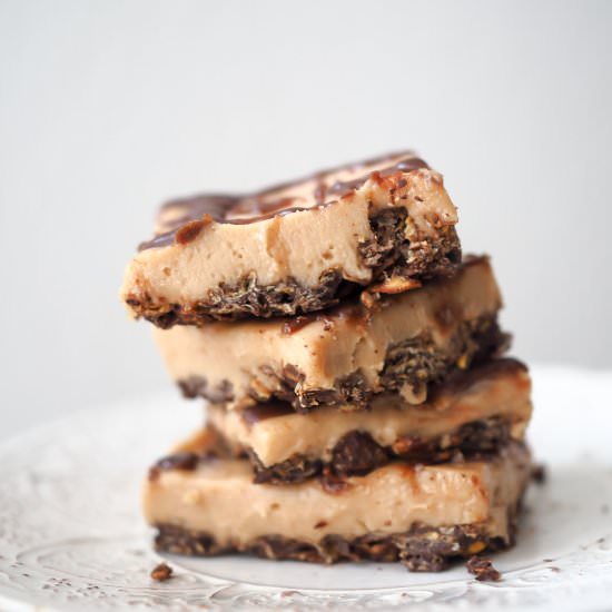 Raw Peanutbutter Coconut Bars