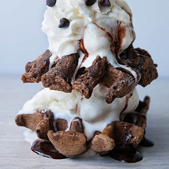 Gluten Free Chocolate Waffles