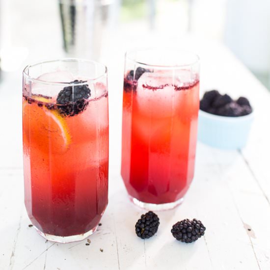 Blackberry Fence Hopper