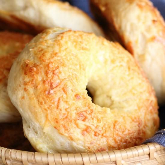 Asiago Bagels