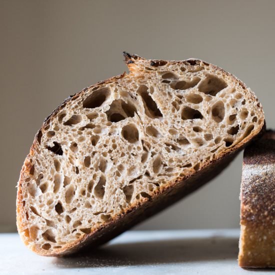 Whole Wheat Sourdough Bread