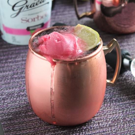 Raspberry Moscow Mule Float