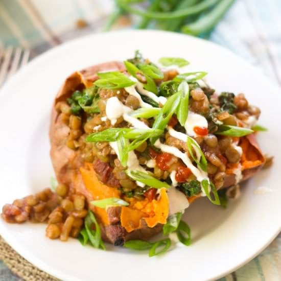 Chipotle Lentil Sweet Potatoes