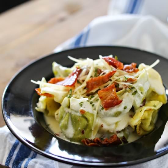 Bacon Alfredo Tortellini