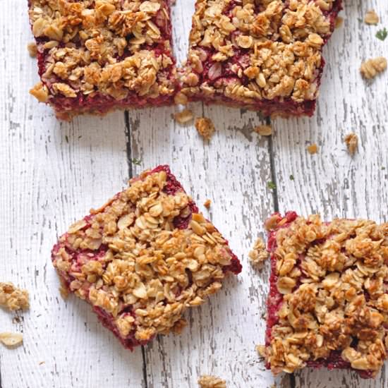 Raspberry Oat Squares