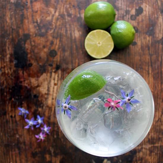 Classic Gin Rickey Cocktail