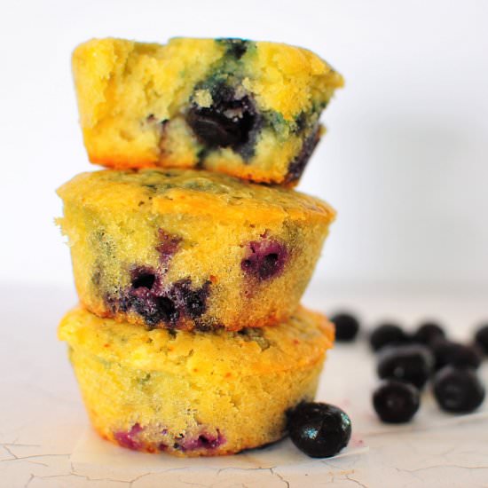 Sugar Free Blueberry Muffins