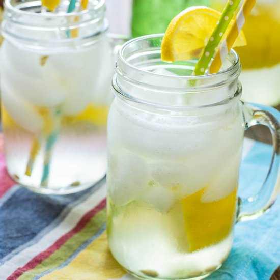 Homemade Lemon Shake Up