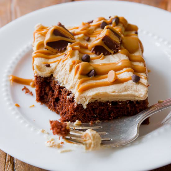 Chocolate Sheet Cake & PB Frosting
