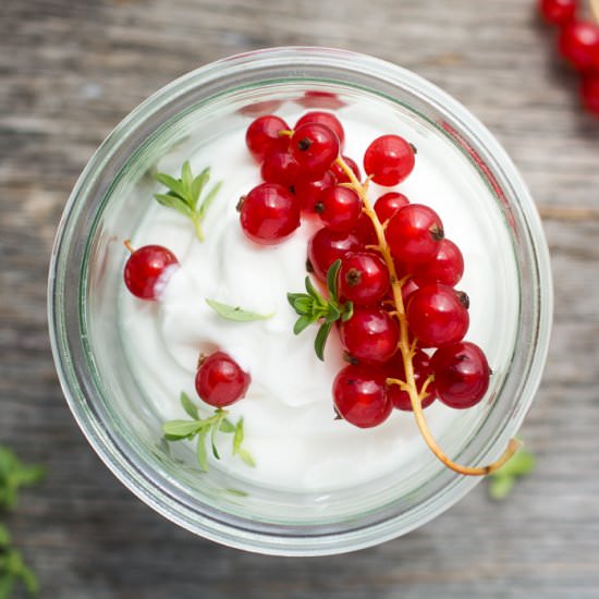 Whipped Yogurt