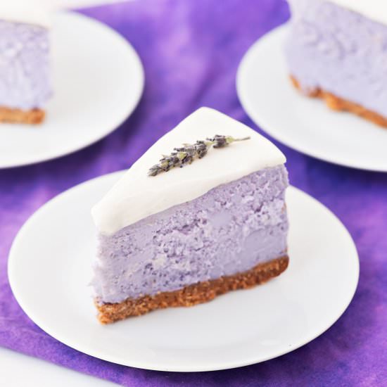Honey Lavender Cheesecake